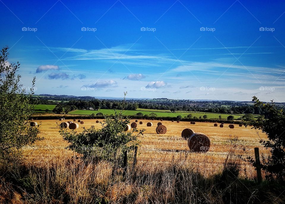 A view across Staffordshire, England