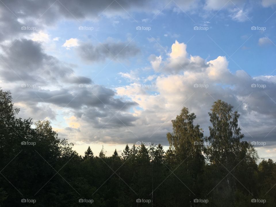Different clouds over a forest