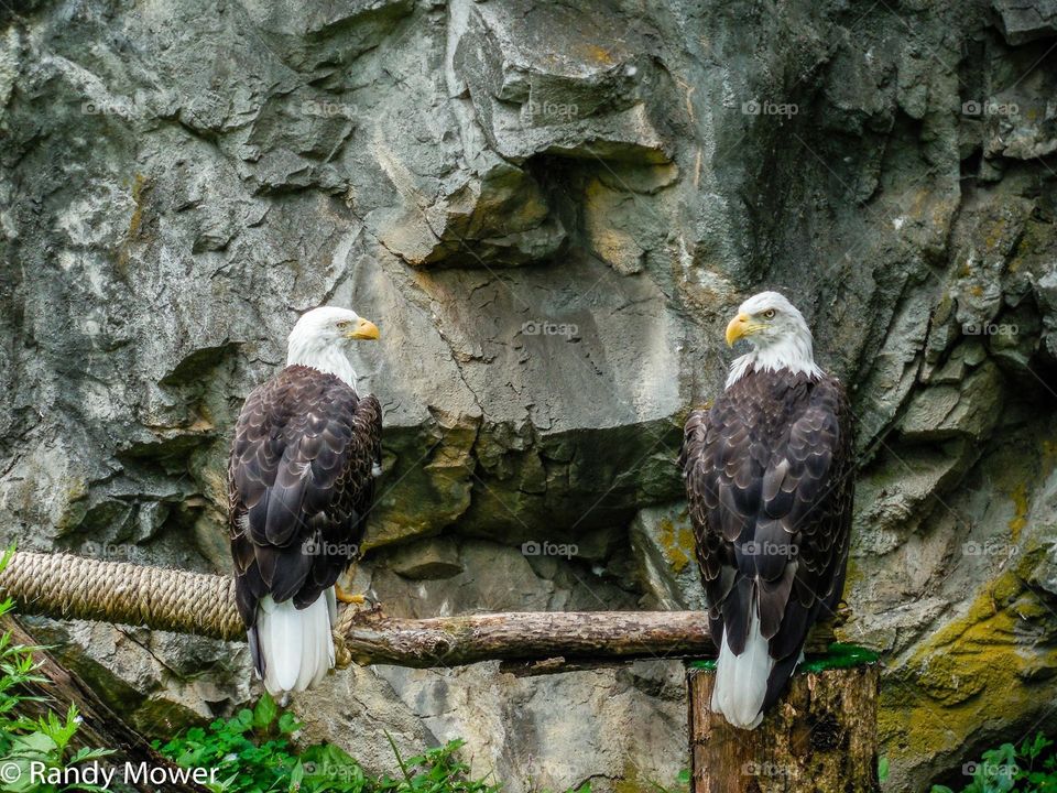 Rodger Williams Park Zoo
Providence RI