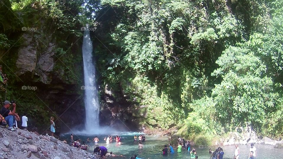 Water, Landscape, Travel, Tree, Outdoors