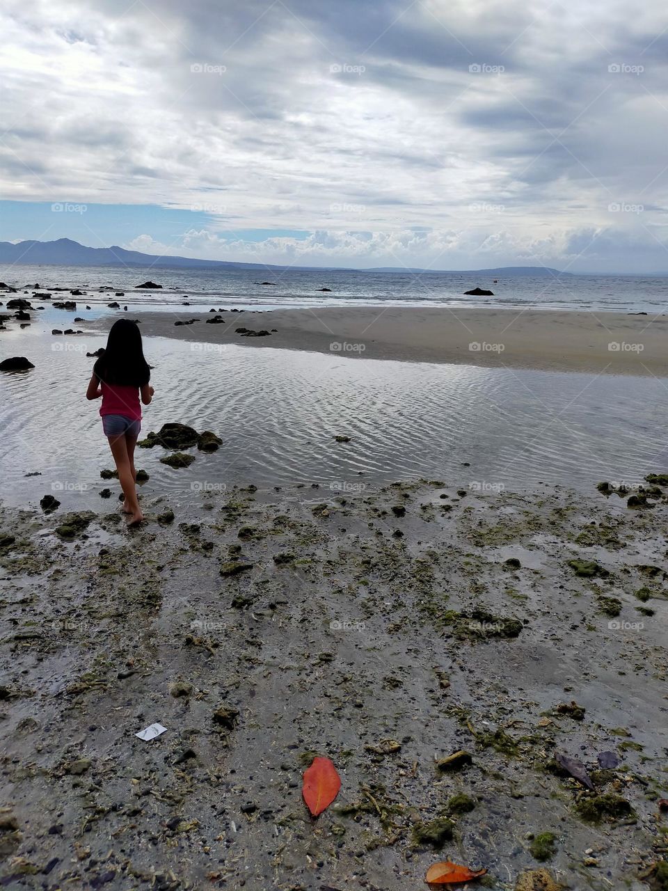 low tide, scenic beach scene, for relaxing