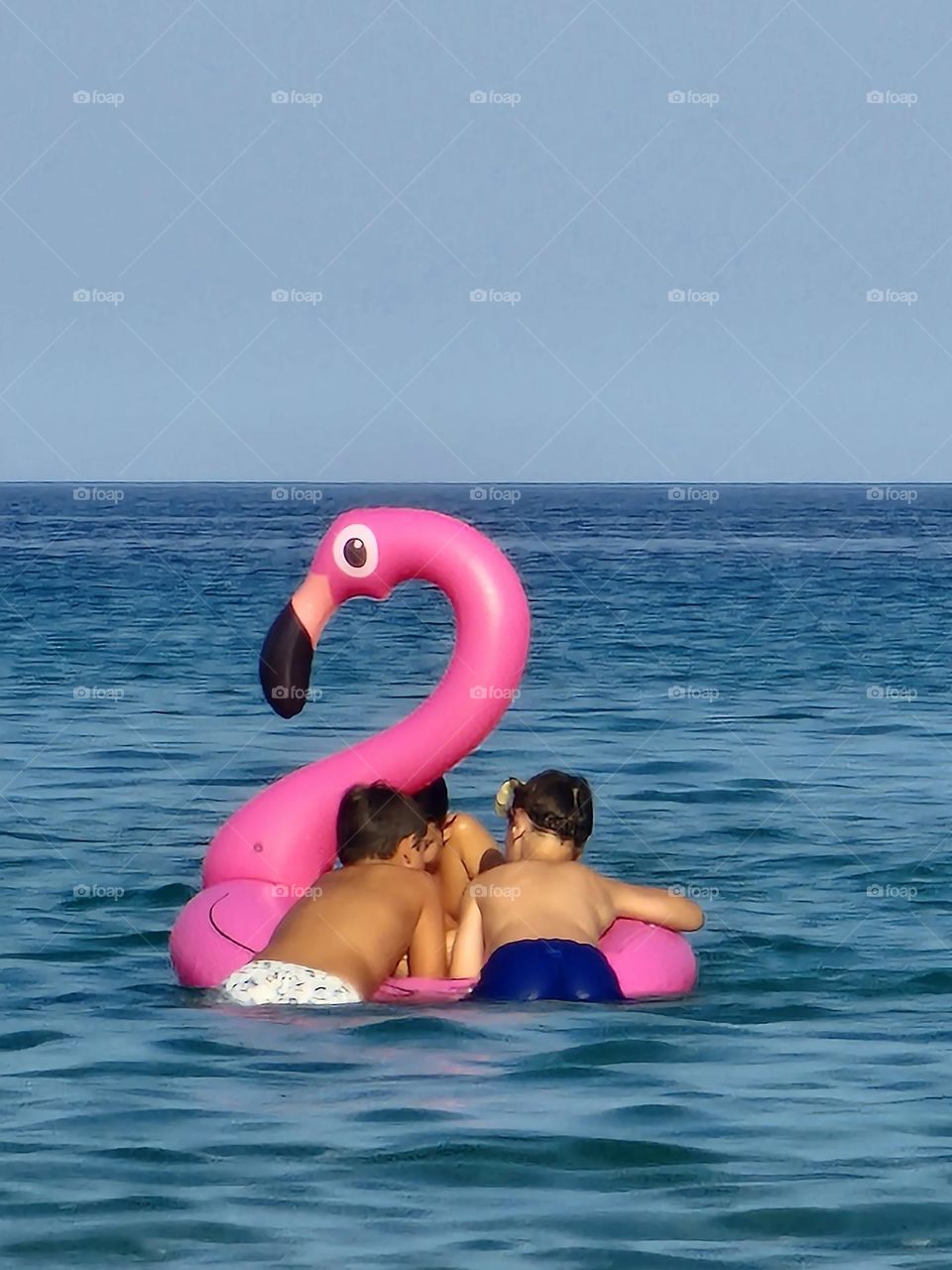 children on the pink flamingo water coil