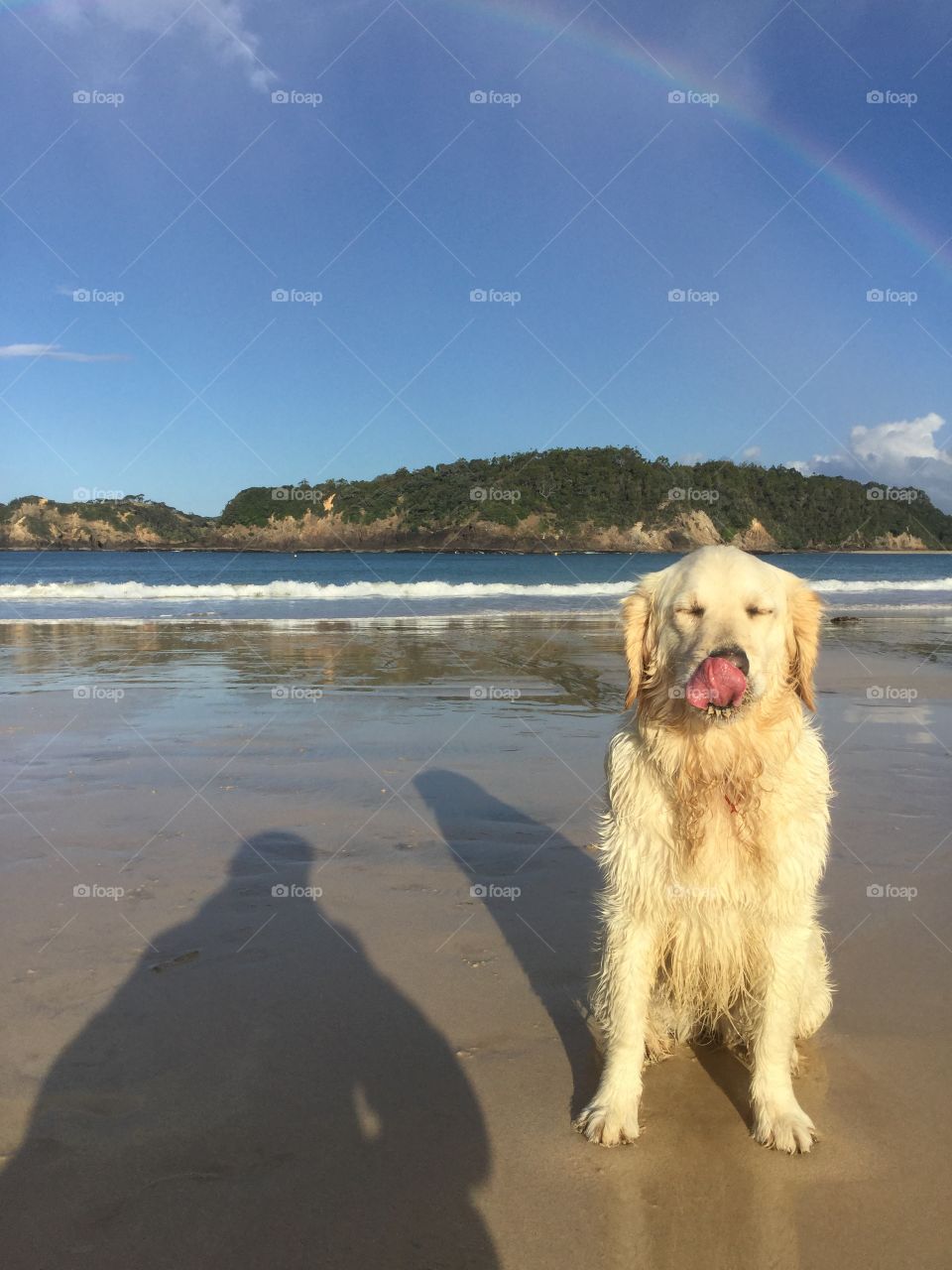A perfectly timed photo of my dog licking her nose at our local beach. Took this photo at around 5:20 (sorry about the shadows)