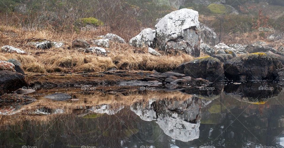 Reflection of rock and dry grass in water