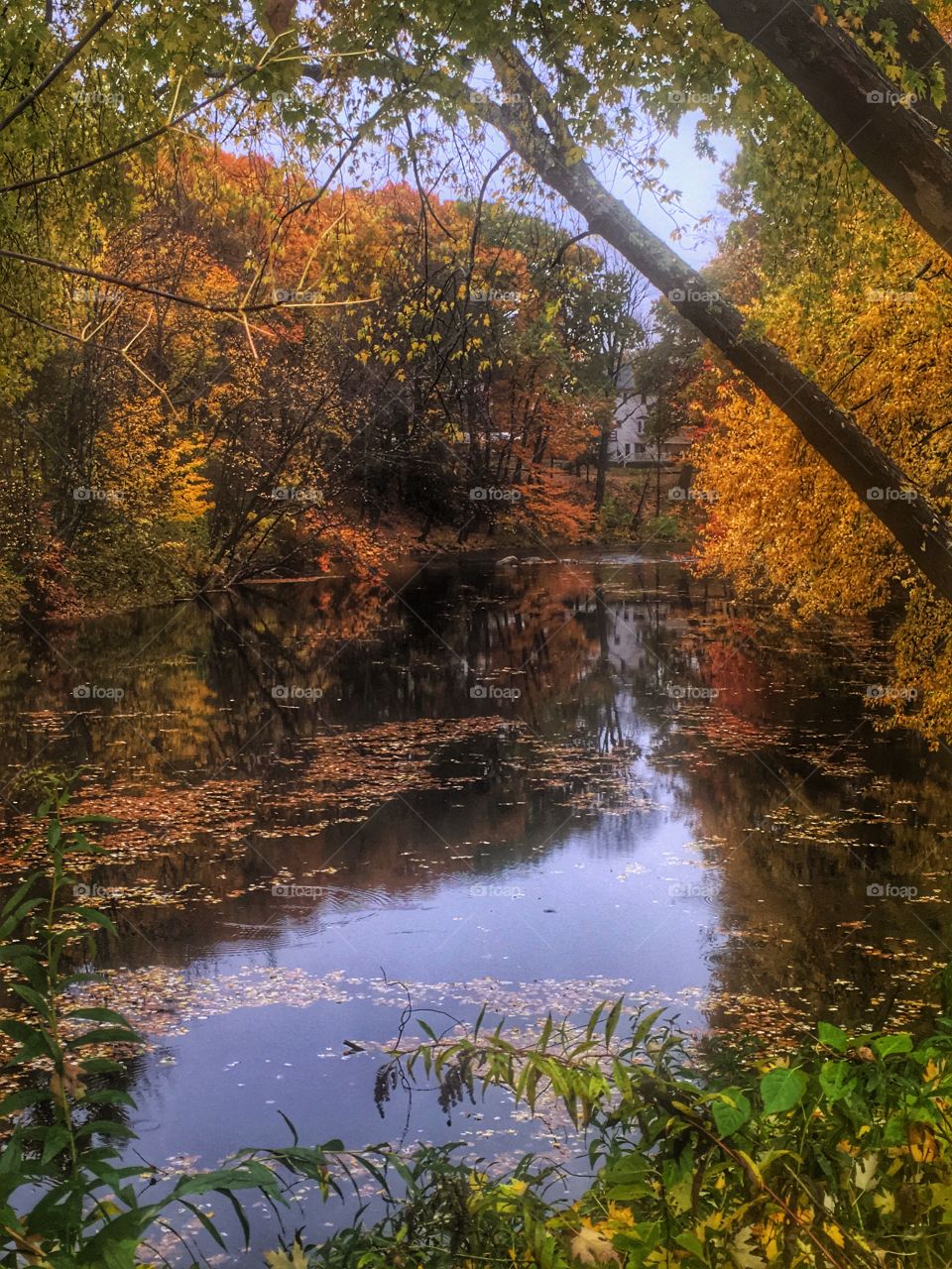 Fall on the river