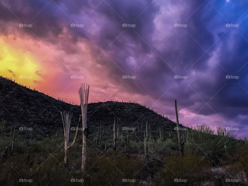 Desert Sunset Landscape 