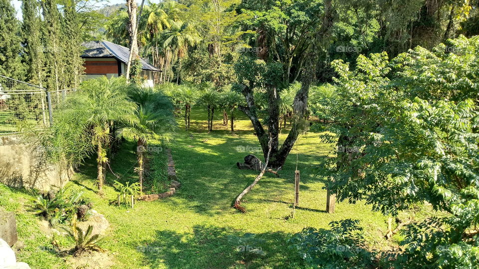 NATUREALLY ENVIRONMENT