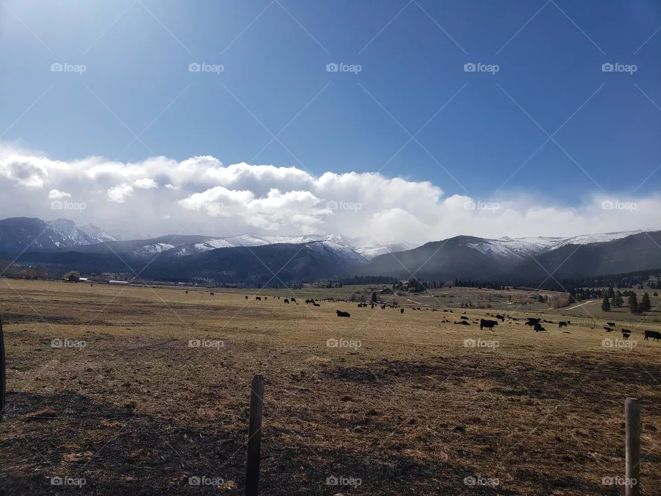 Mountain Valley living