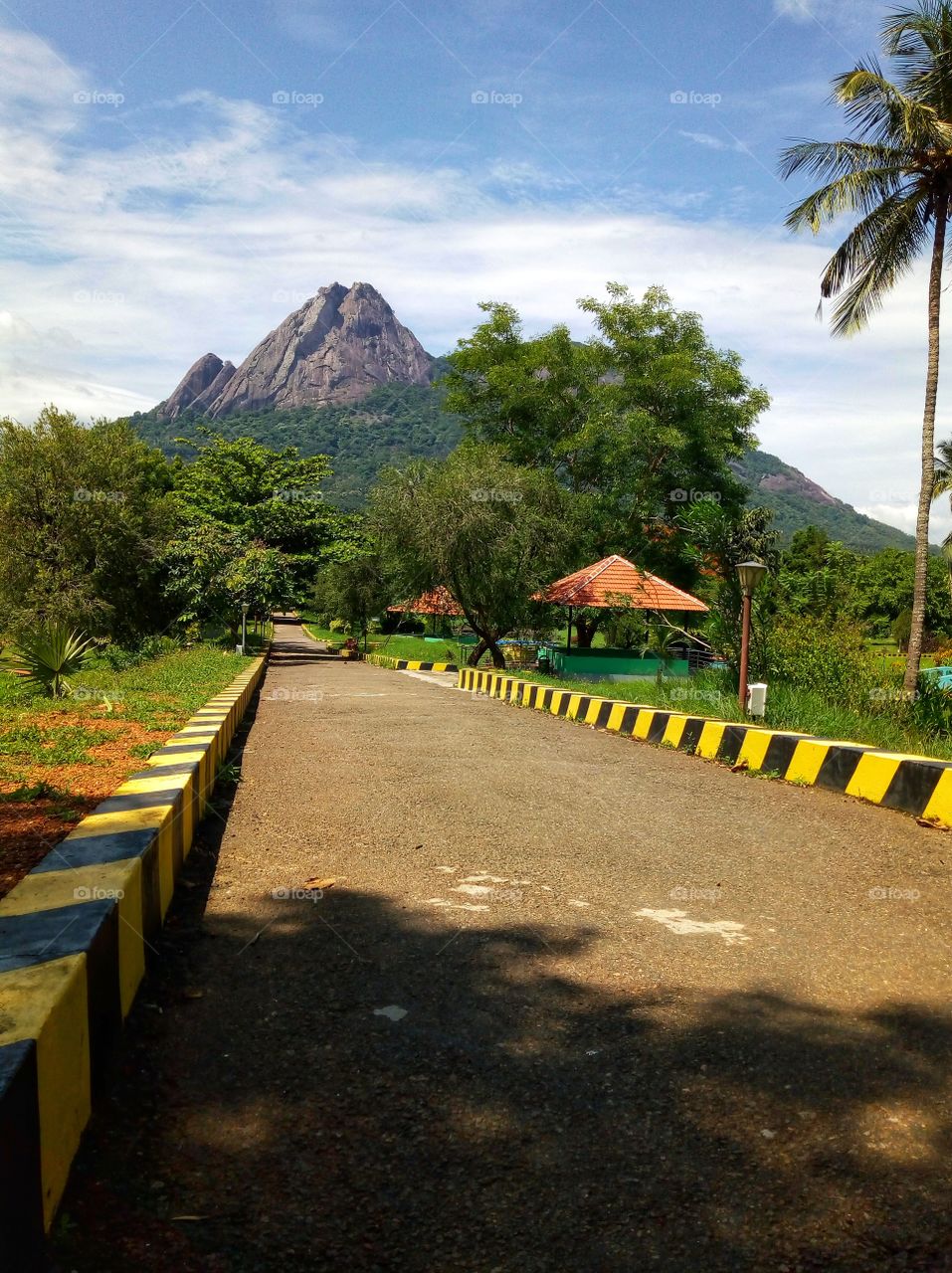 Beautiful Garden @kanjirappuzha.Kerala