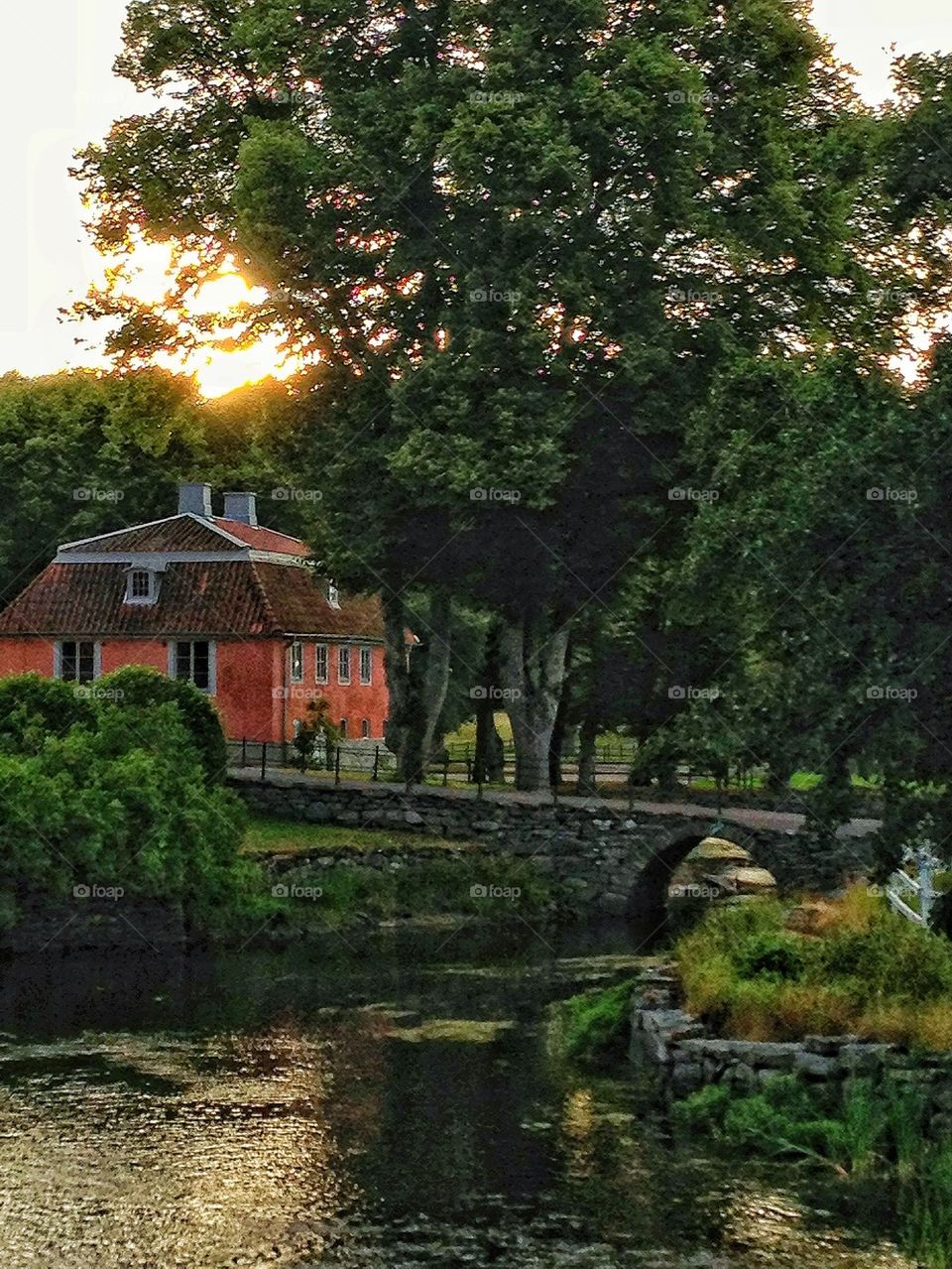 trees water house countryside by lemonique