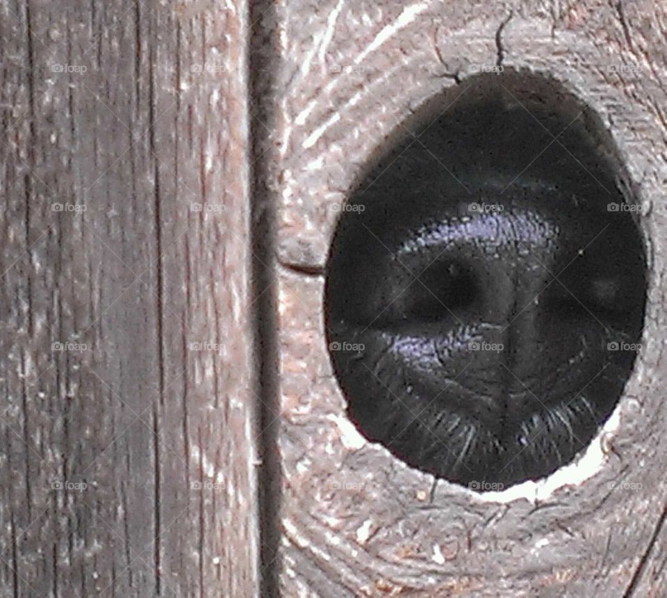 Where are you going?