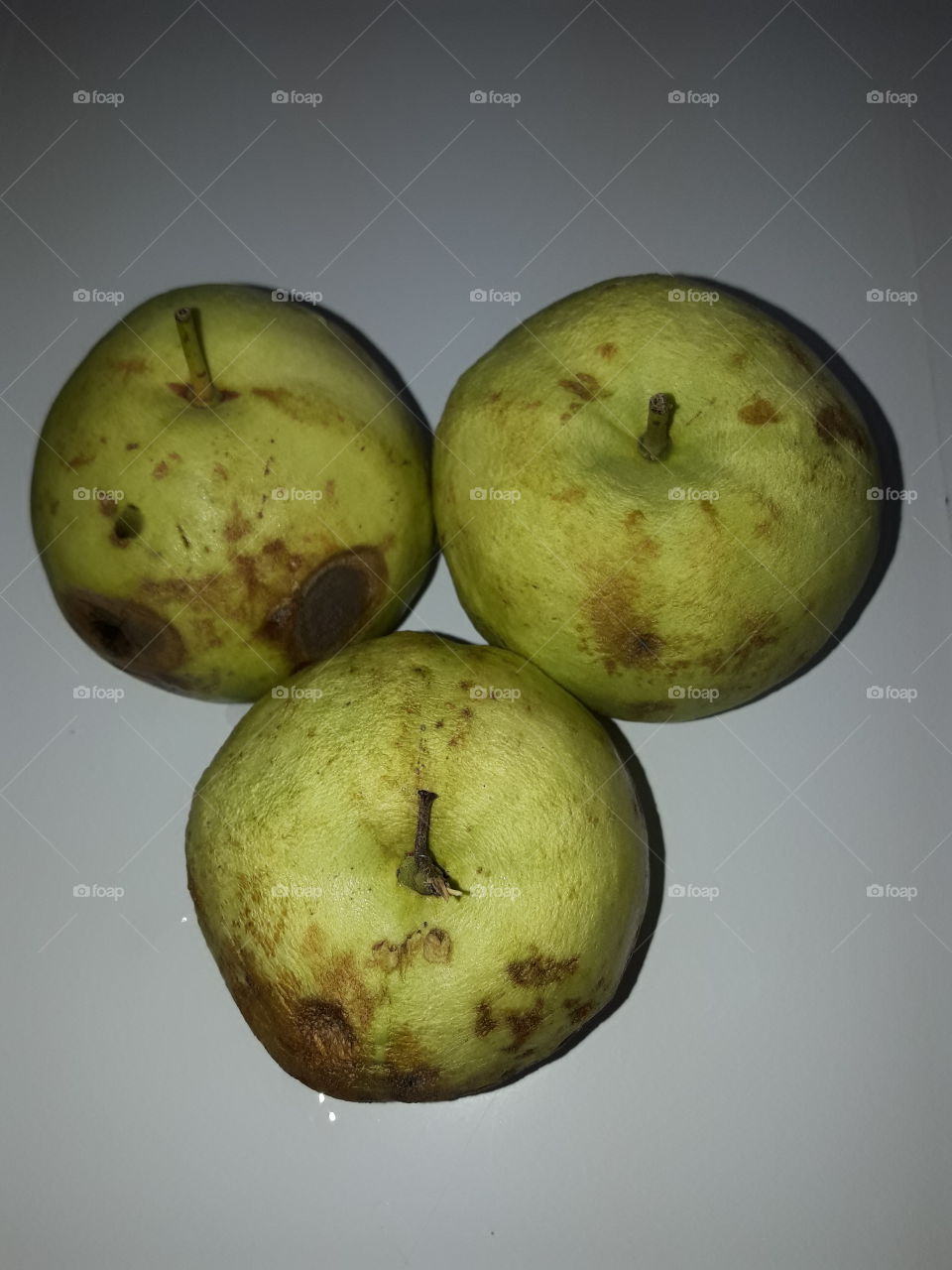 three guavas placed at the room temperature for several days until they are rotten.