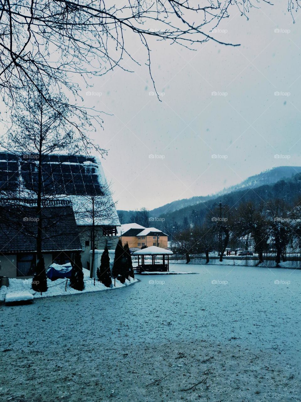 the frozen lake from Moneasa