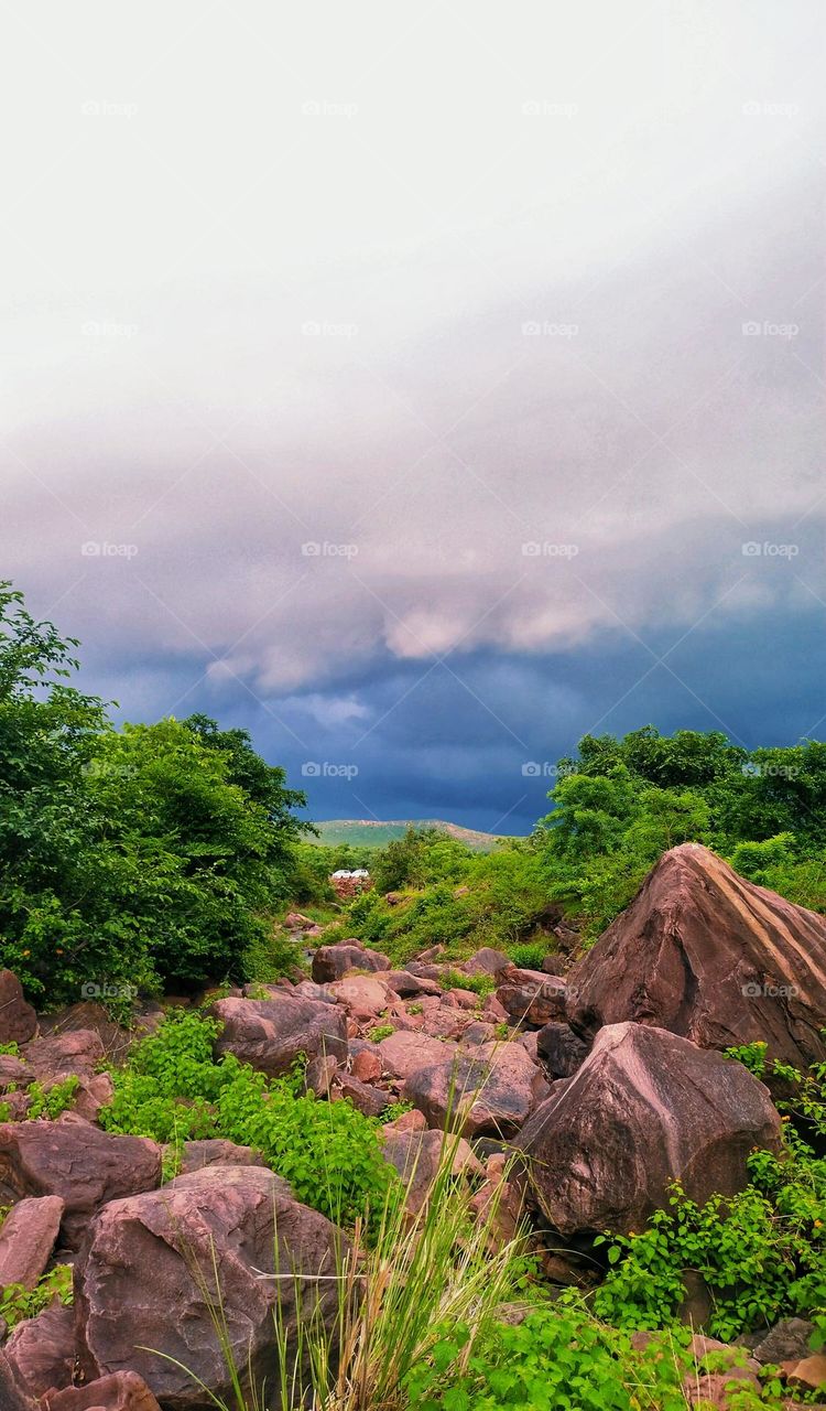 Enjoying the beauty of nature