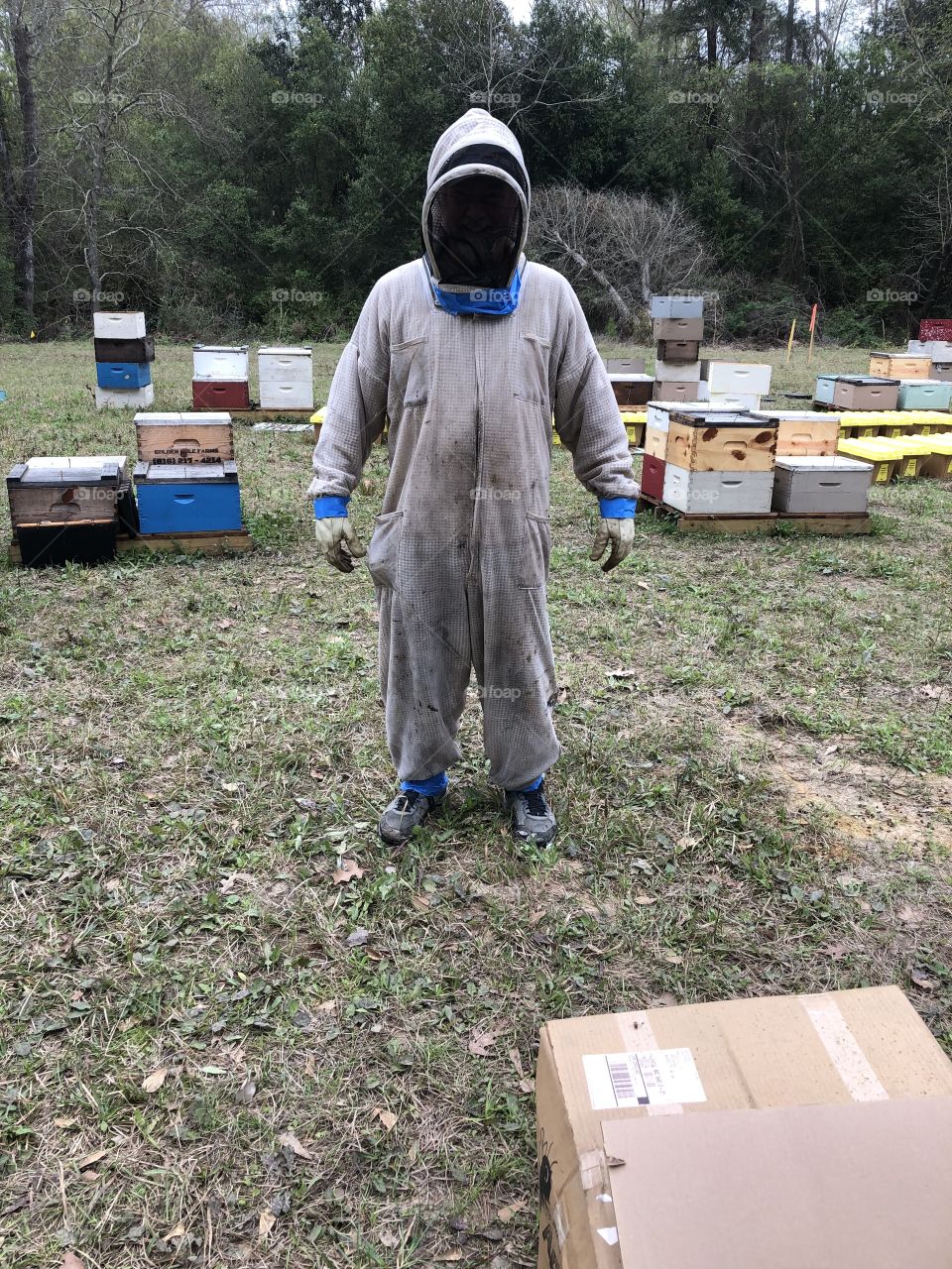 Beekeeper, beekeeping, bee suit hives, hive, beehive, bees, honeybees, tape, blue, veil, gloves, colonies, Texas