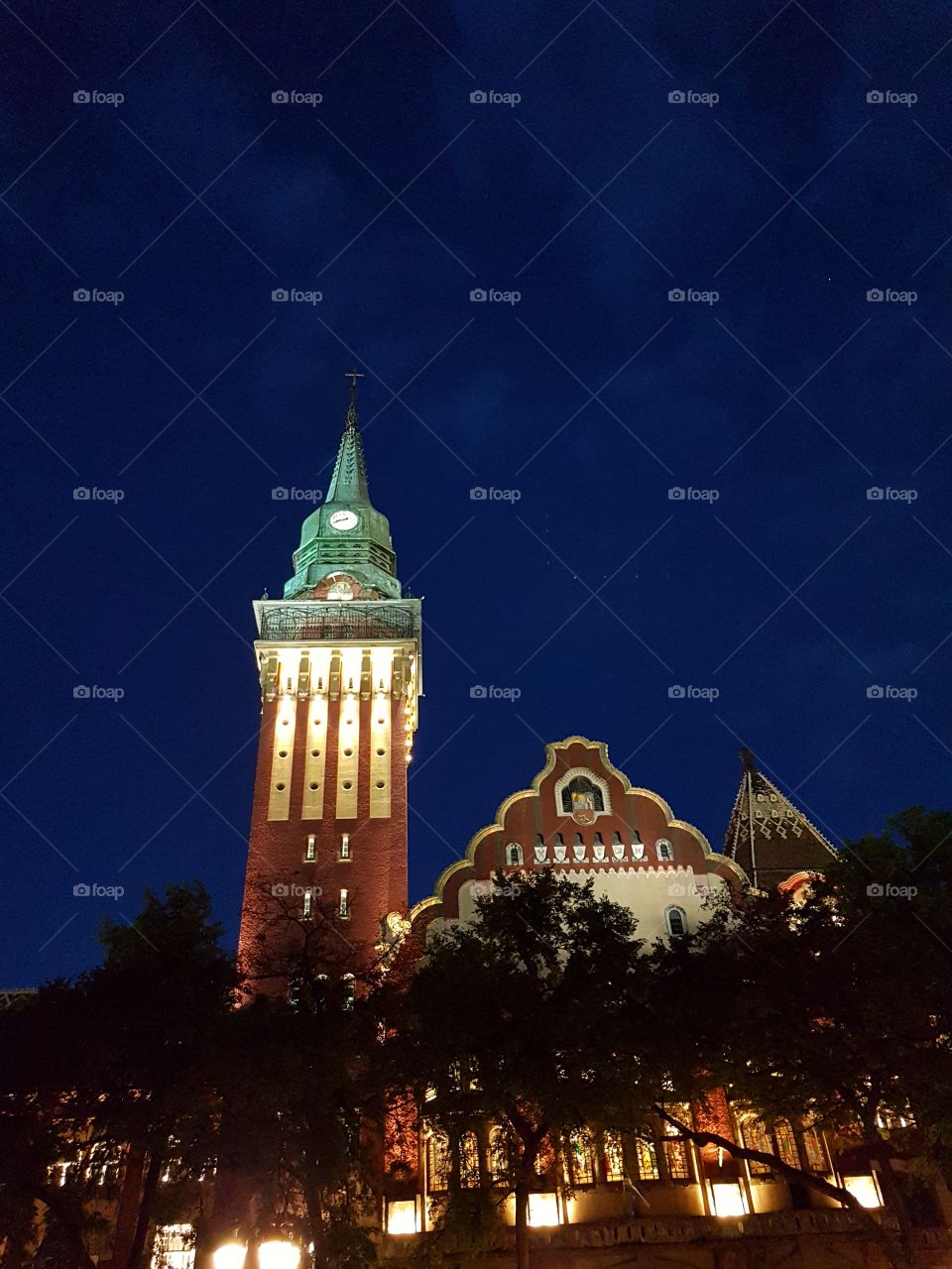 city hall by night,subotica serbia