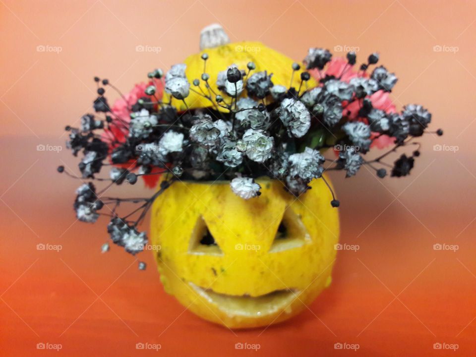 munchkin pumpkin with a face and flower arrangement display 🎃