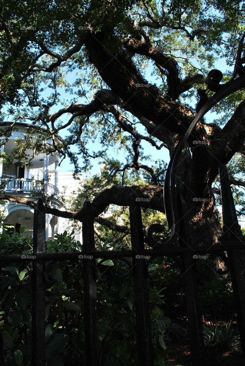 Charleston SC Battery