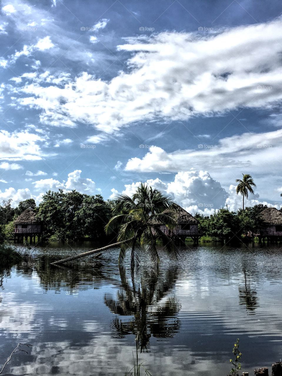 Perfection in Cuban version.