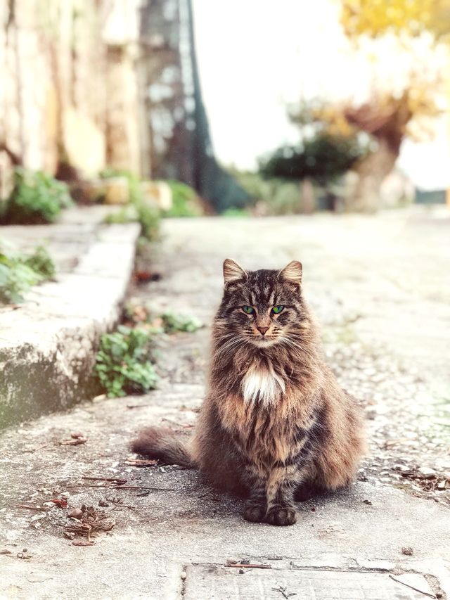A princess 