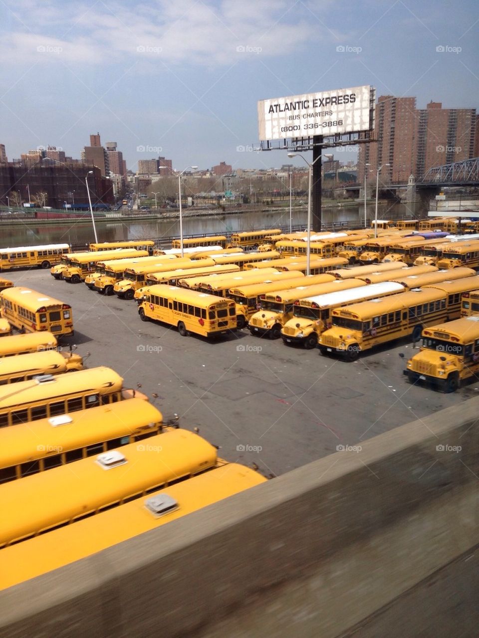 Busses Busses Everywhere