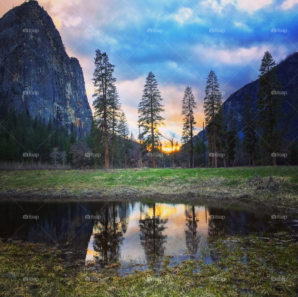 Yosemite after the rain