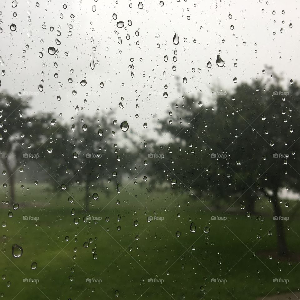Rainy day