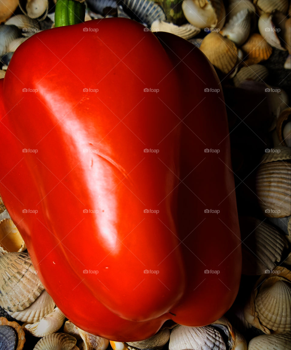 Bulgarian red pepper on seashells