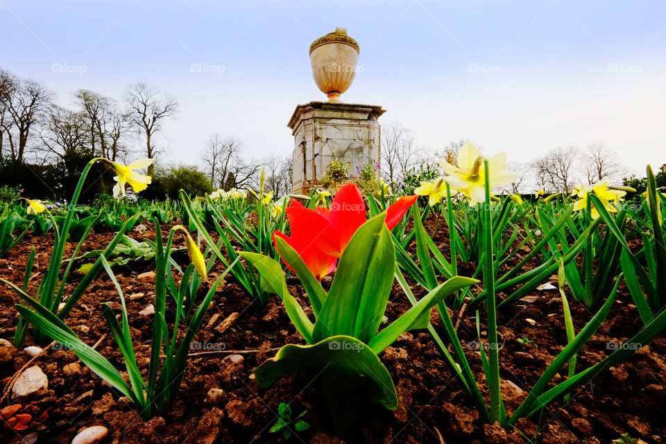 Gardens. Stately home