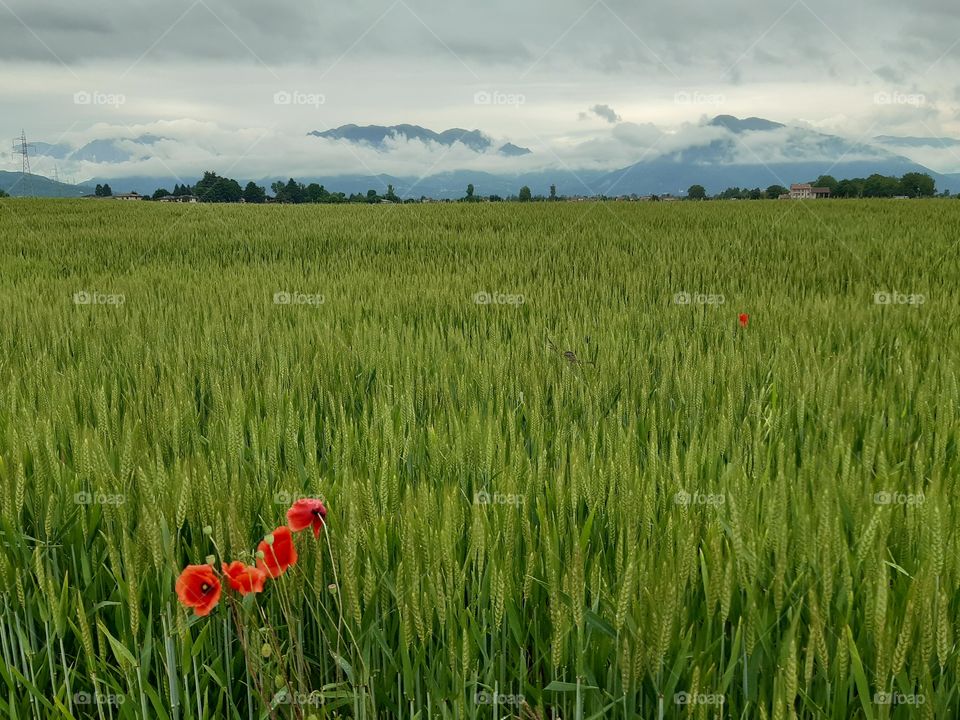 bad weather in the country