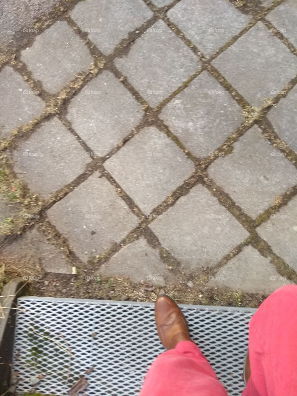 My first steps this summer