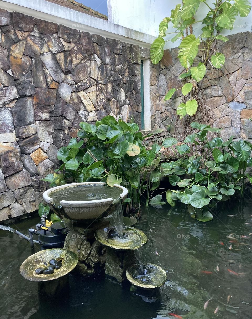 Cool indoor fish pond and garden 