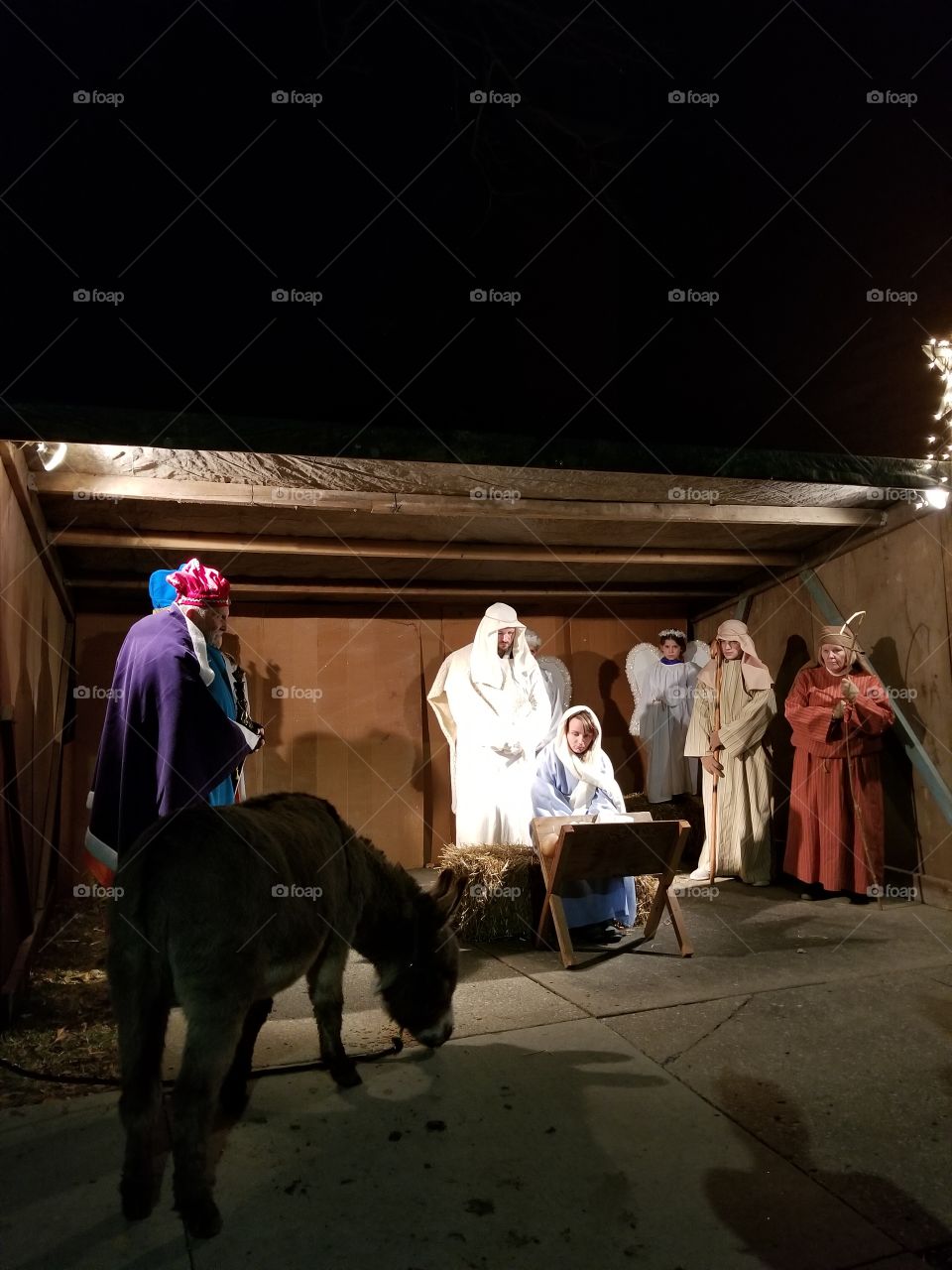 our Christmas living  nativity