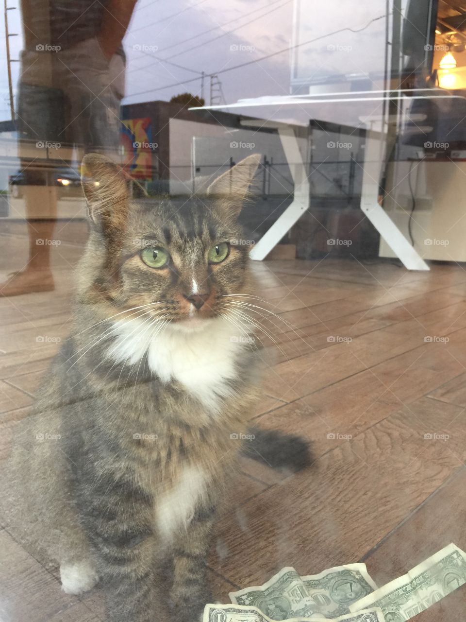 Waiting by the window.