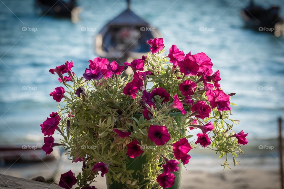 Beautiful flower at beautiful island ... Koh LiLe Thailand