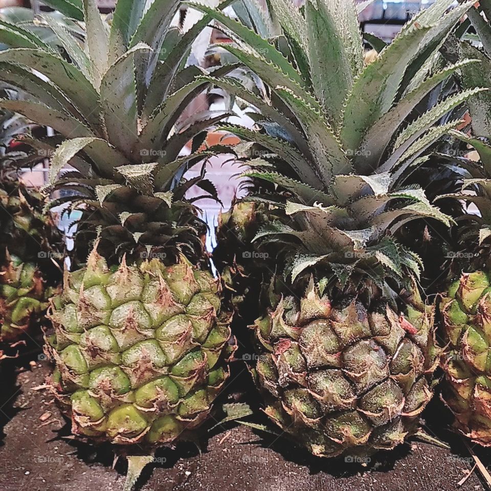 Pineapples