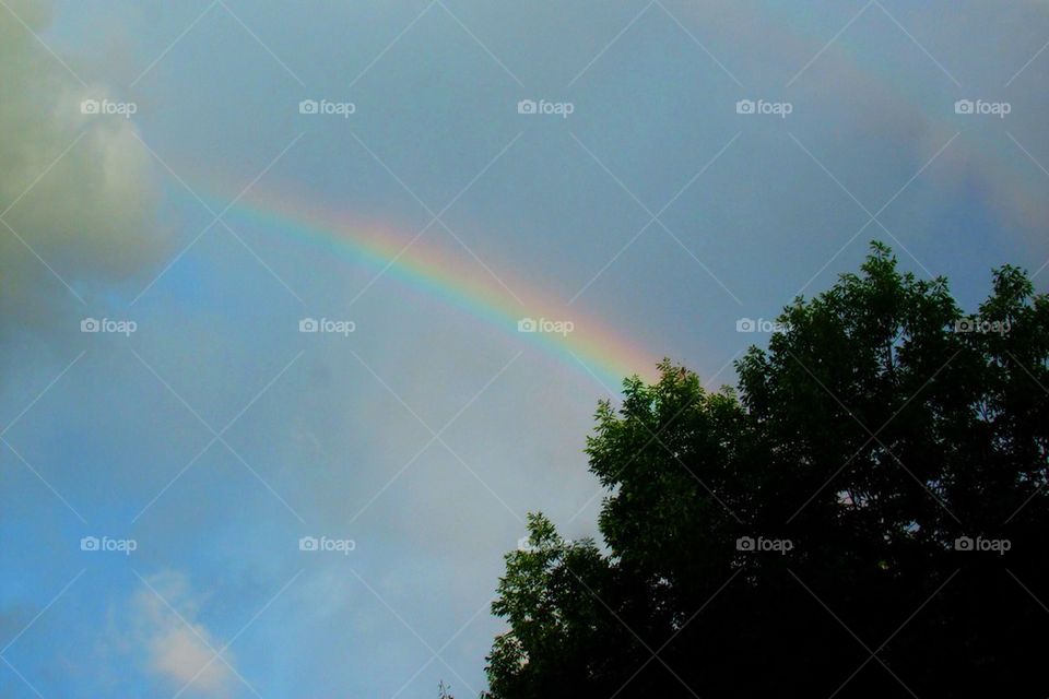 Somewhere Over the Rainbow