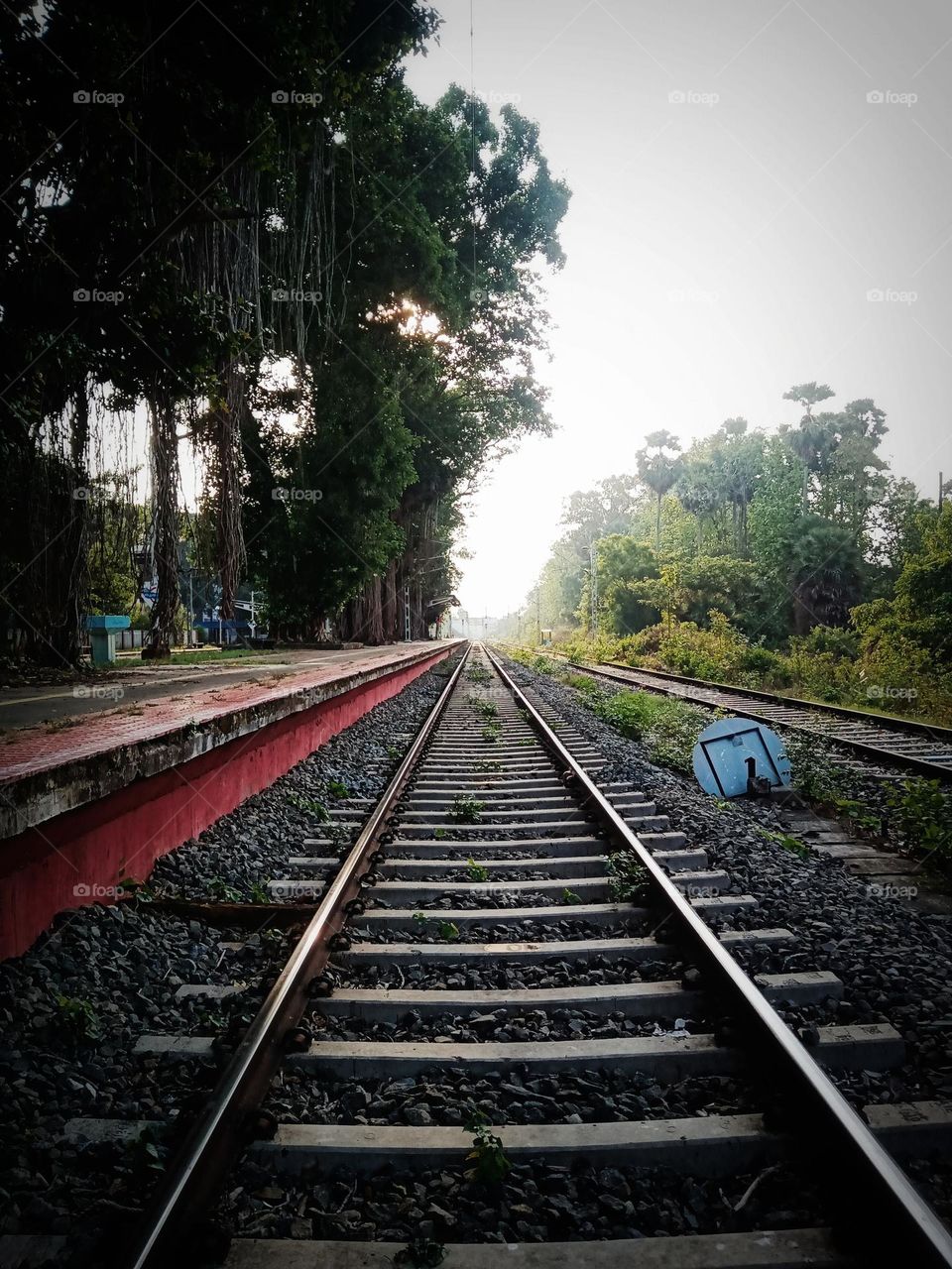 Muthalamada railway station, gateway to the tranquil beauty of rural Kerala.