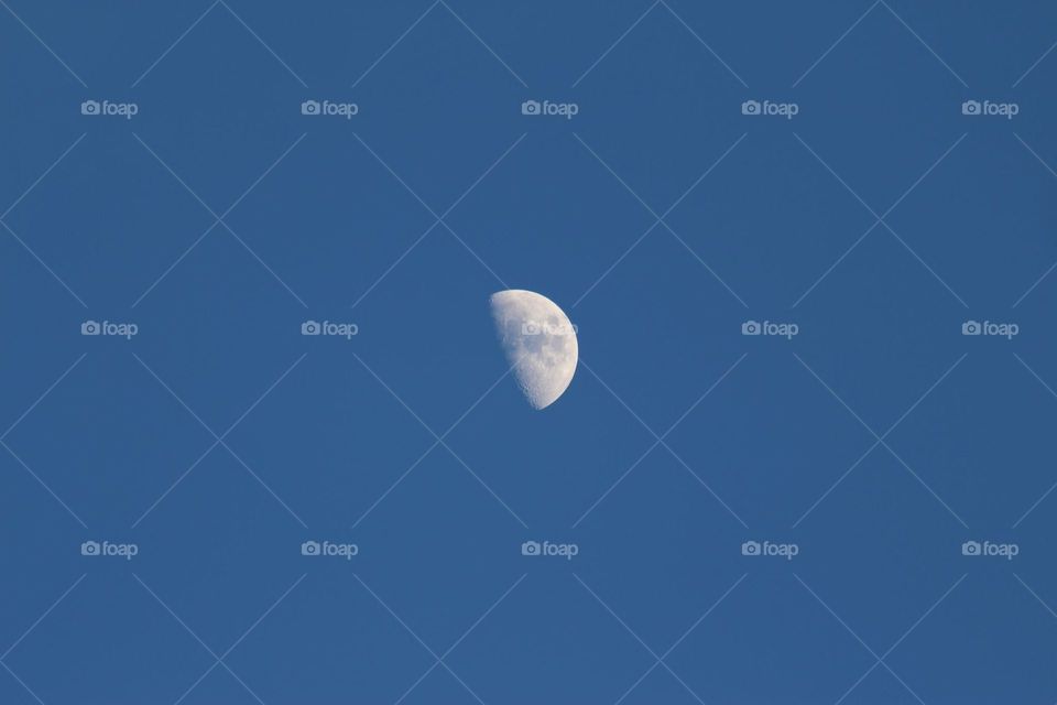 moon. månen