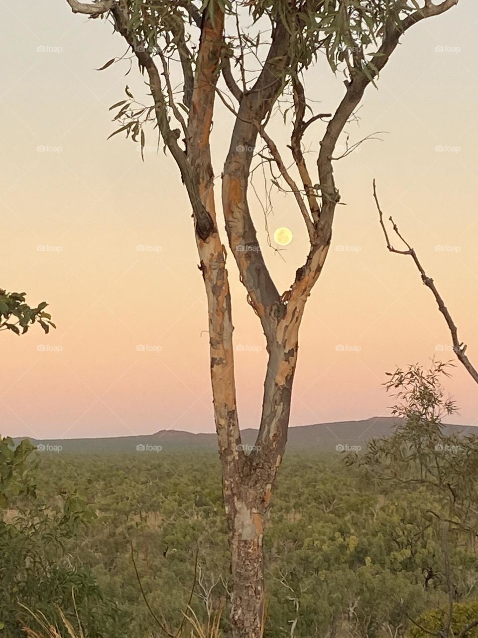 Moon Rising over Undara Caldera 1