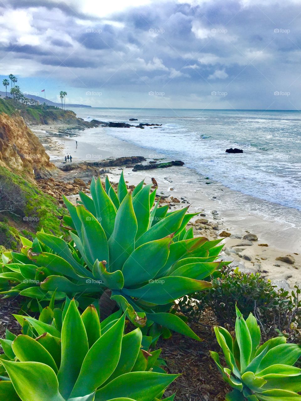 Laguna View