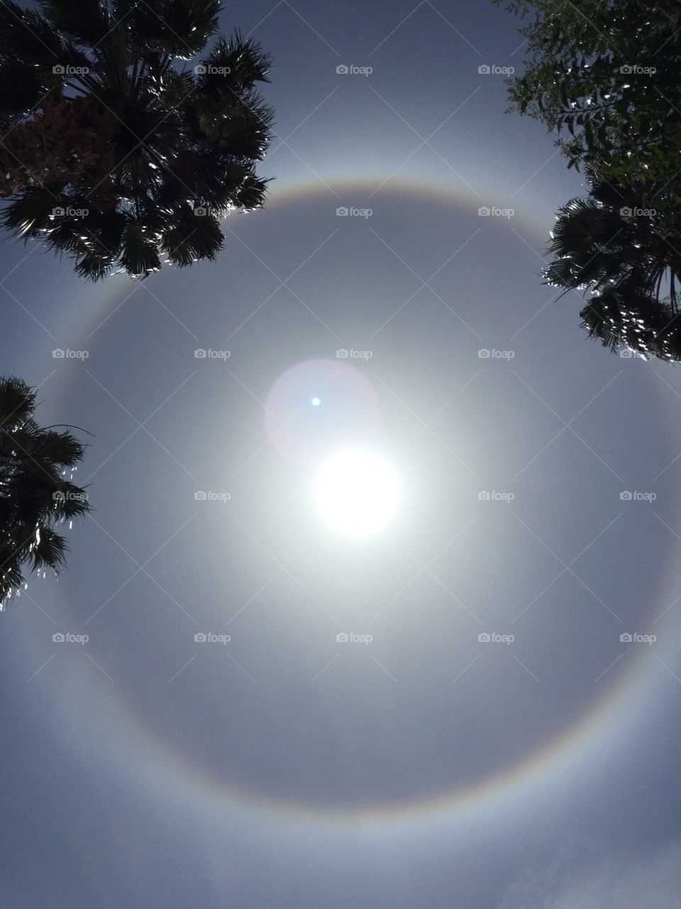 Sun rainbow