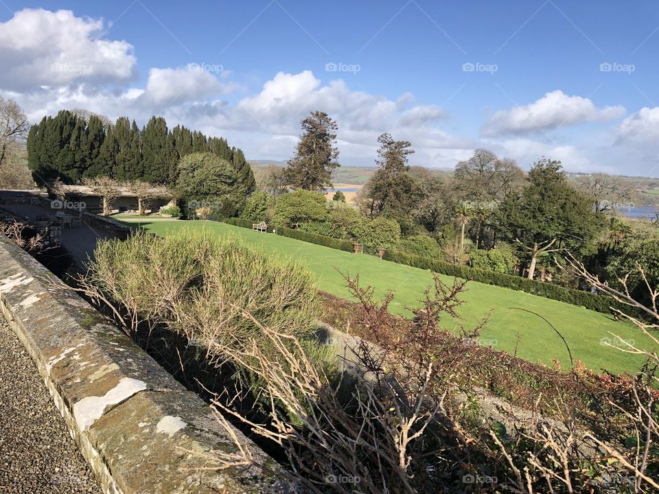 I felt that a lovely setting is portrayed here if some beautiful grounds of a large country estate in Cornwall, in cold February sunshine.
