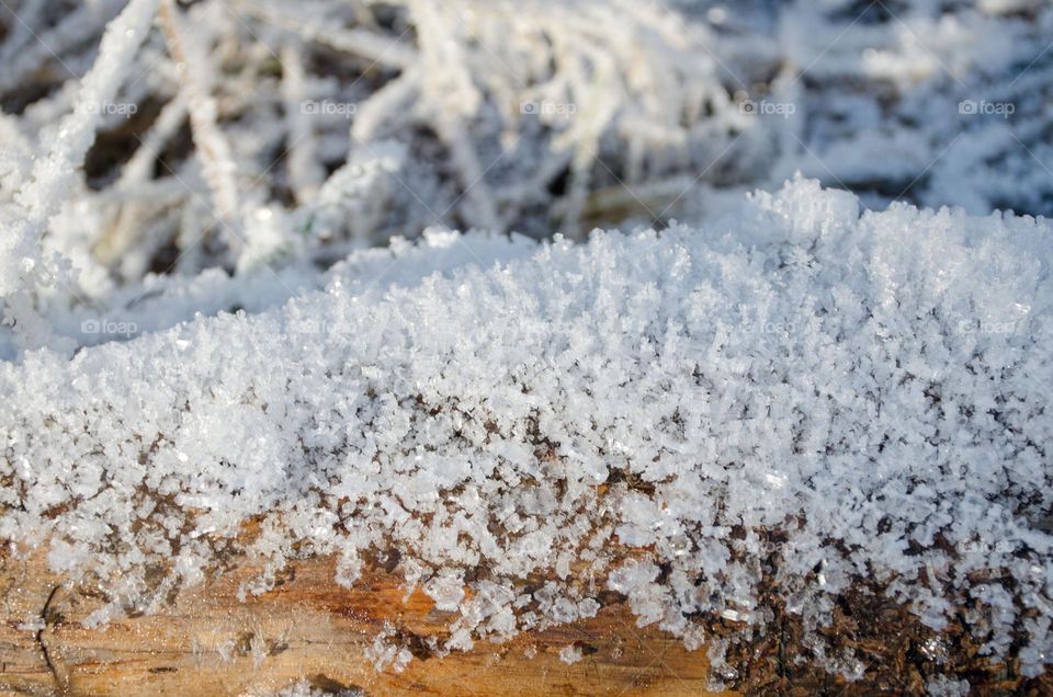 Frosty Marvels:Nature's Ice Artistry