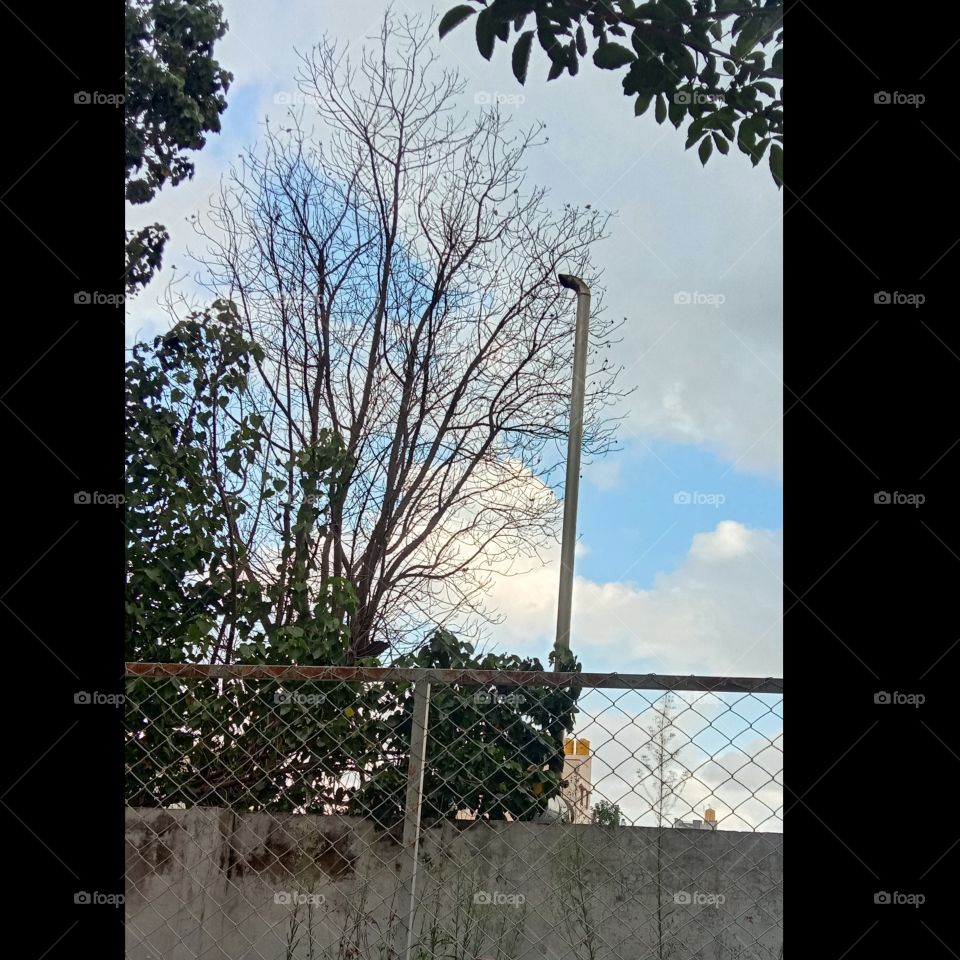 There is a beauty in imperfections too...😍❤️💫