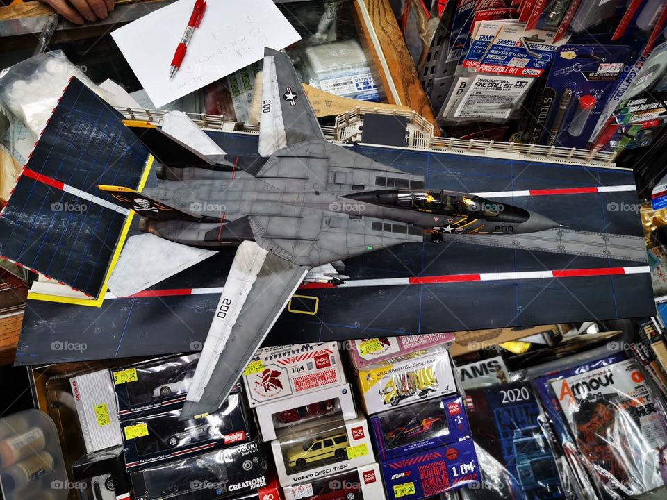 F14 Tomcat Flights Model