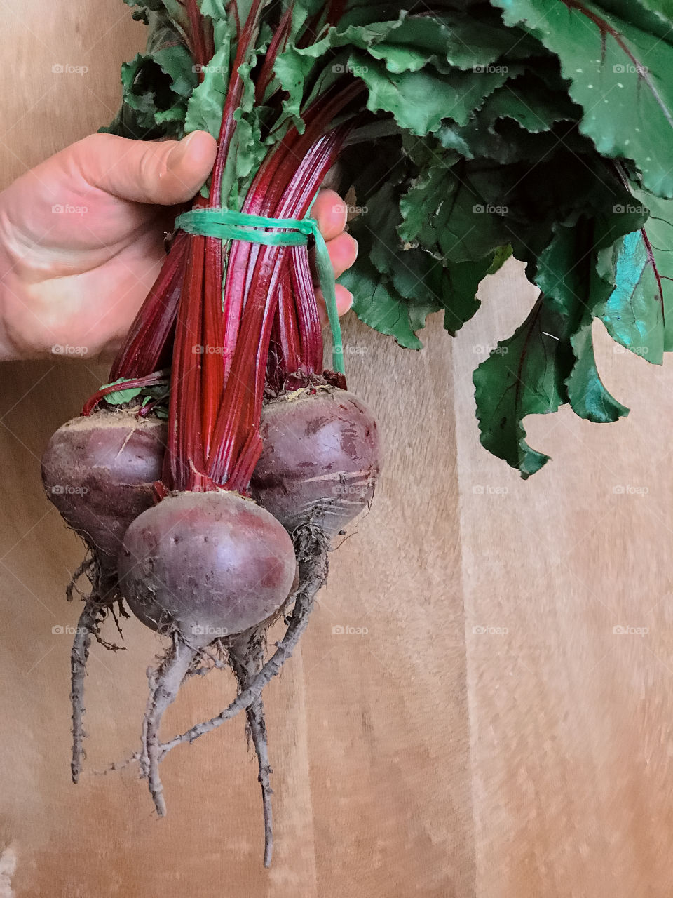 Hand holding beetroot 