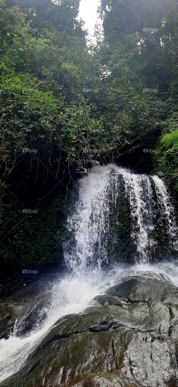 I love to watch this