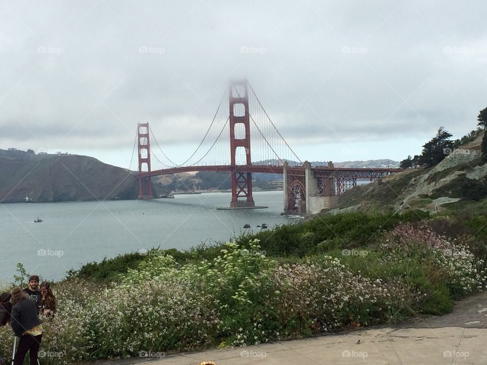 Golden bridge over the river