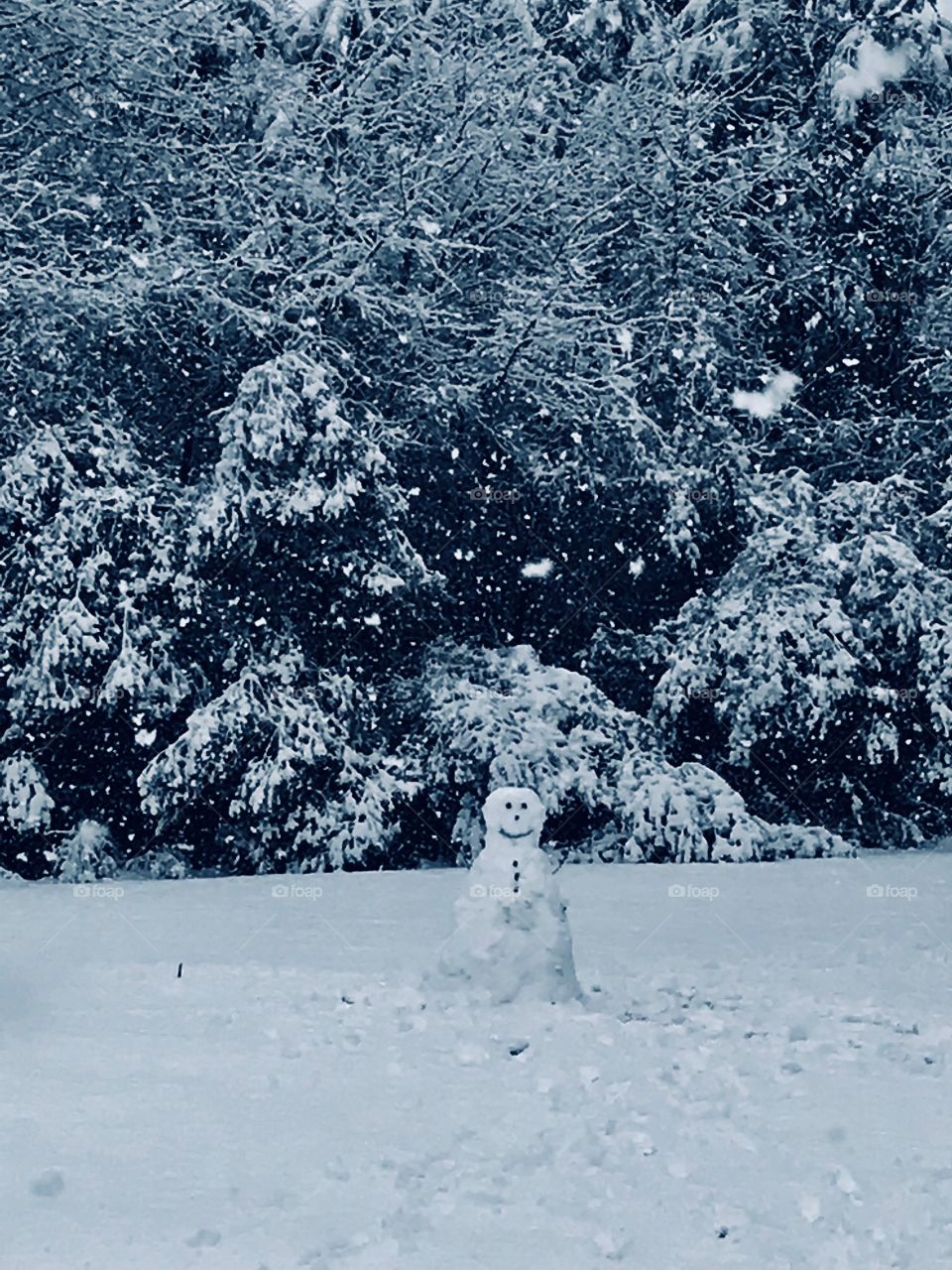 Snowman in winter! NC 2018